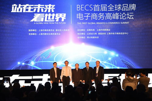 共贏未來 2016年首屆全球品牌電子商務(wù)高峰論壇的啟迪與突破