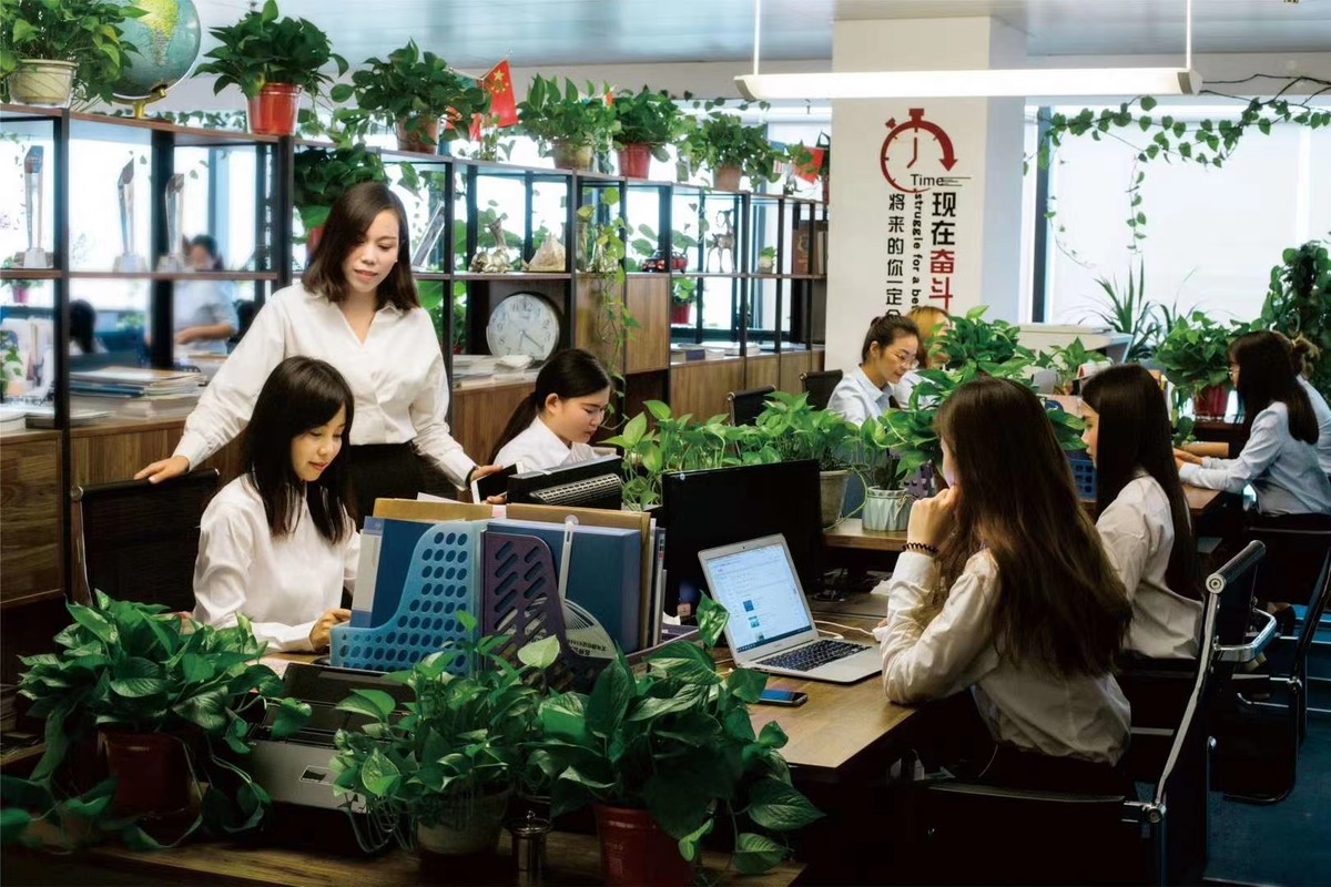河南全占商務(wù)信息咨詢 專業(yè)護(hù)航企業(yè)發(fā)展的智慧合伙人